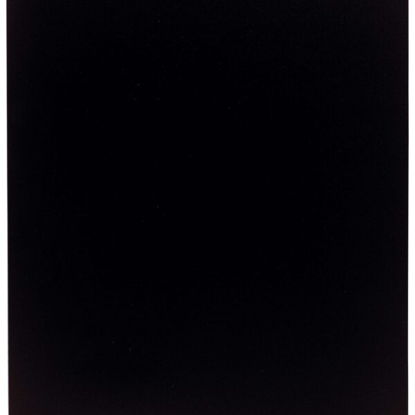EXACOMPTA Sichtbuch A4 8581E schwarz 80 Taschen