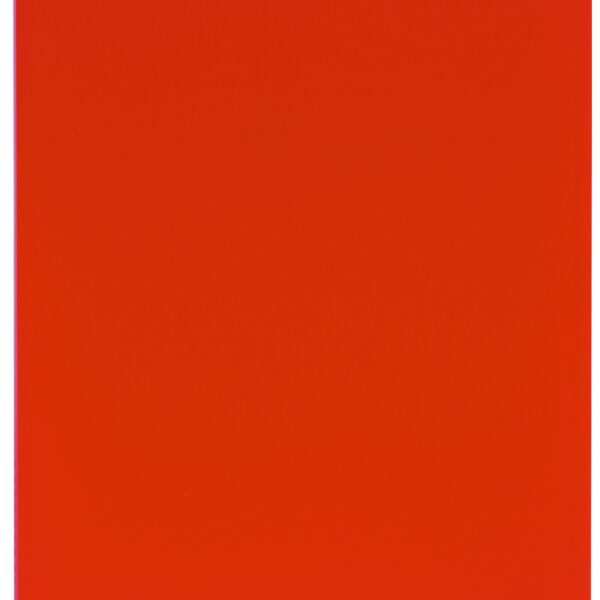 EXACOMPTA Sichtbuch A4 8585E rot 80 Taschen