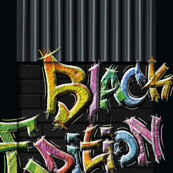 FABER-CASTELL Farbstifte Black Edition 116413 12 Farben, Metalletui