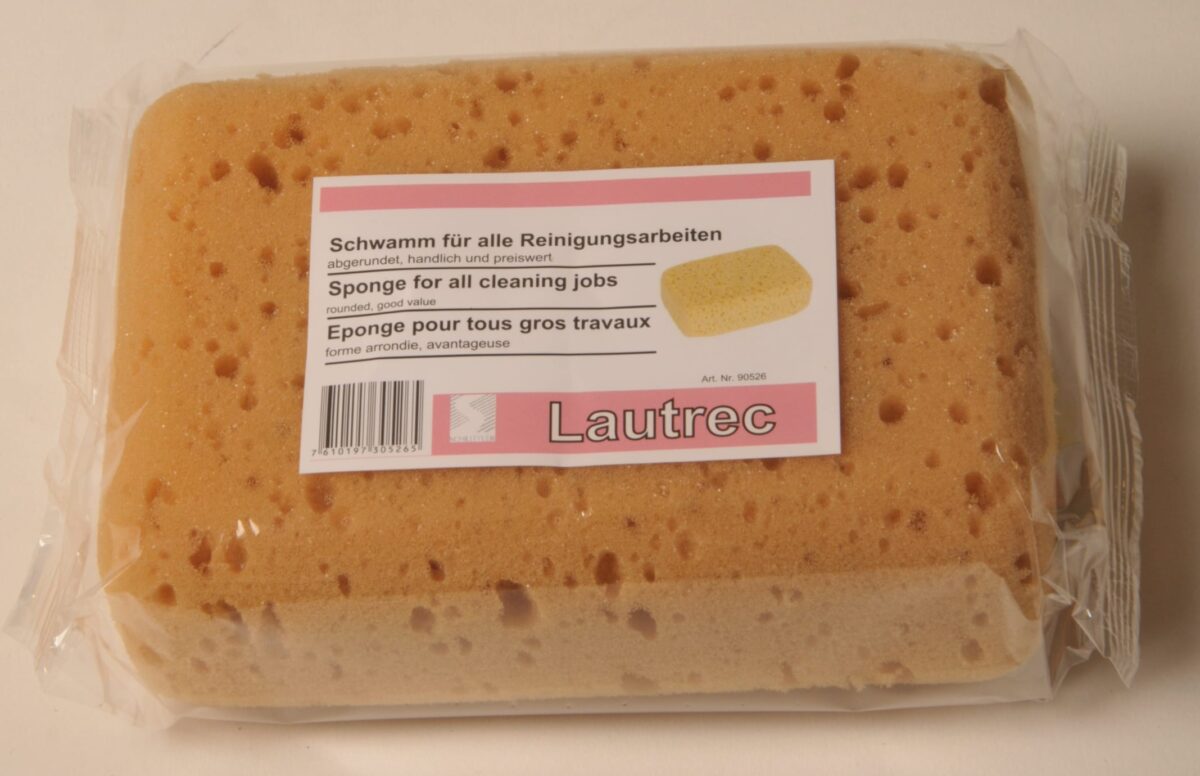 FRINA Schwamm Kunststoff 16x11x6cm 905.26 gelb – Hochwertig & günstig bei ShopDeca
