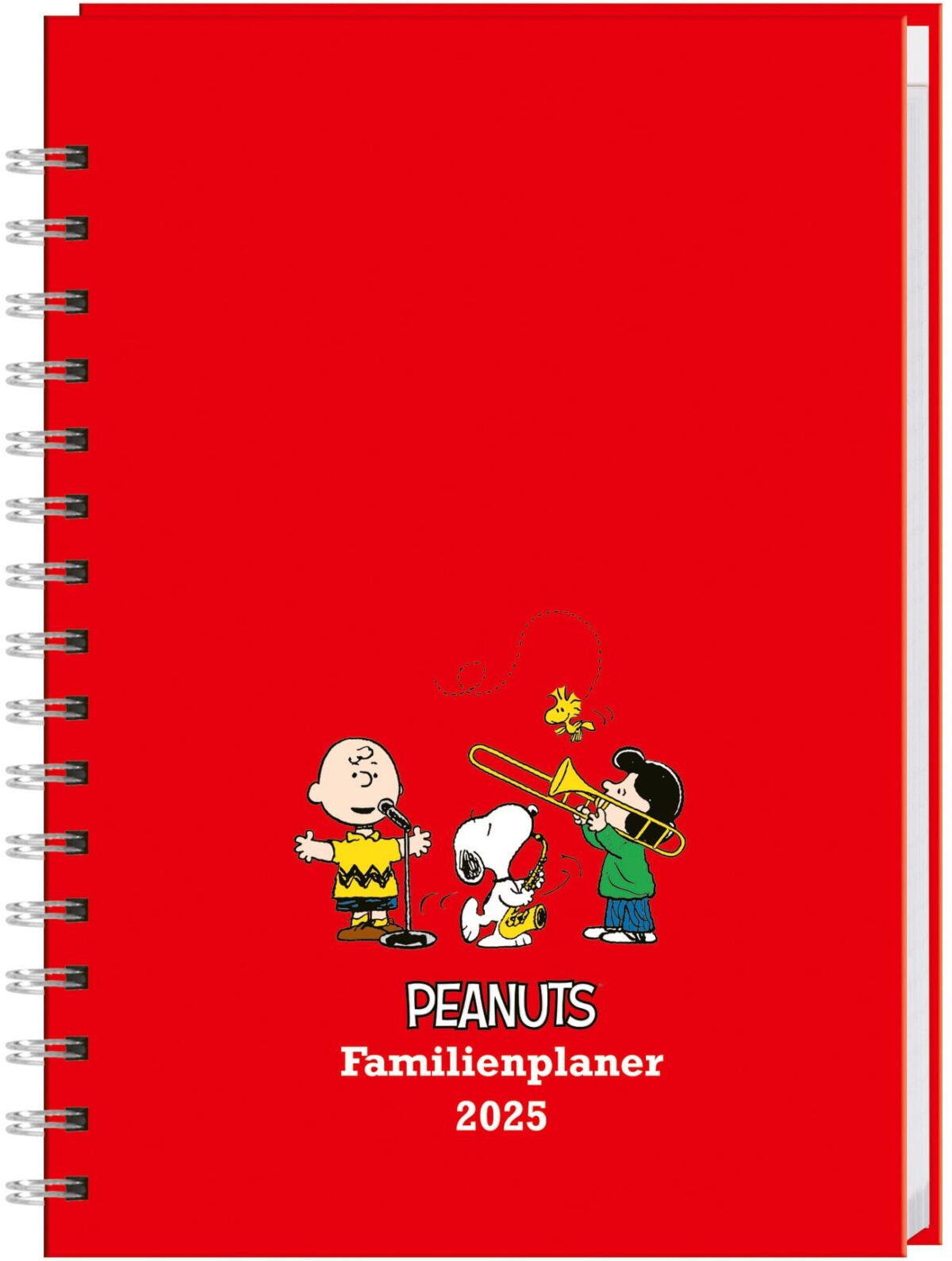 HEYE Familienagenda Peanuts 2025 21545+25 DE 15.2x23.2cm – Hochwertig & günstig bei ShopDeca