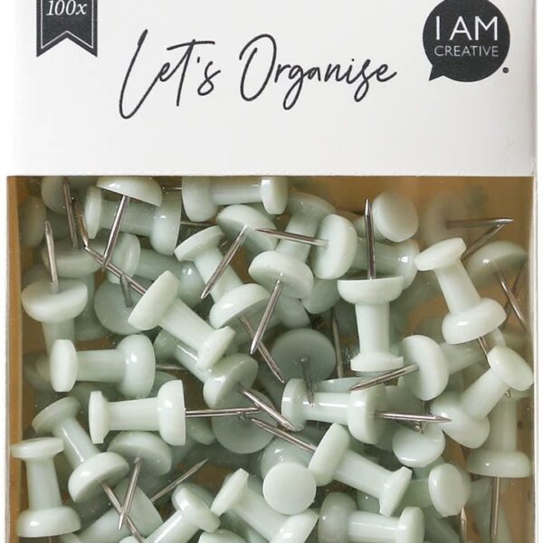 I AM CREATIVE Pinnadeln Let`s Organize MAA4035.17 hellgrün, 9x24cm 100 Stück