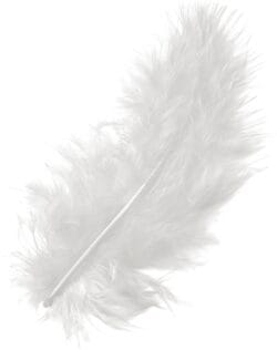 KNORR PRANDELL Marabufedern 10cm 6619002 weiss 15 Stück