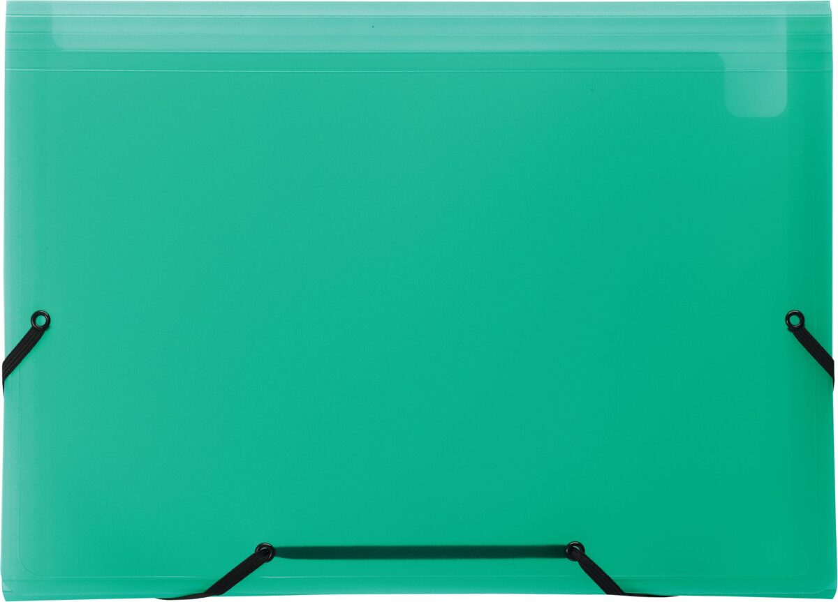 KOLMA Sammelmappe Daily Easy A4 11.017.01 grün, 13 Taschen, Kolmaflex – Hochwertig & günstig bei ShopDeca