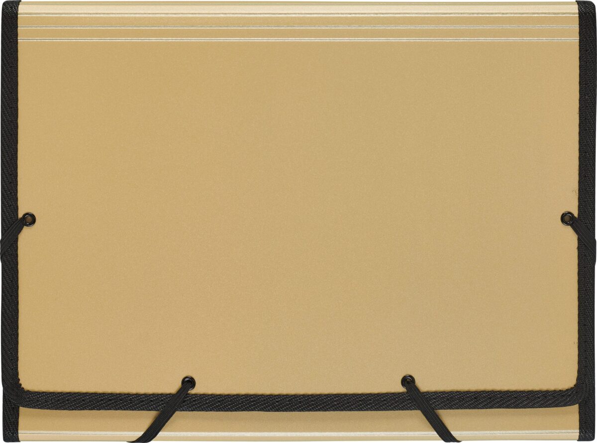 KOLMA Fächermappe Bliss A4 11.033.17 gold 12 Fächer – Hochwertig & günstig bei ShopDeca