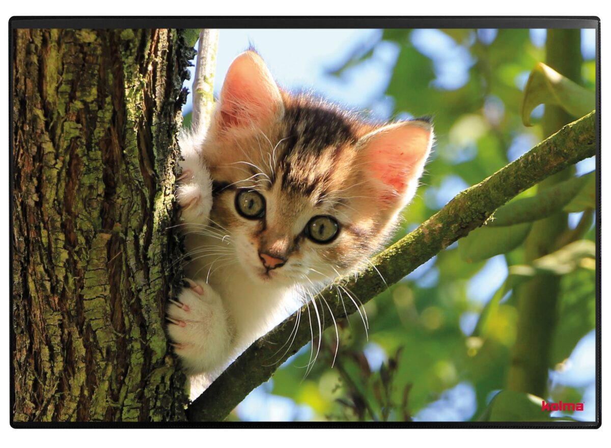 KOLMA Schreibunterlage 35.554.20 Katzenkinder 50x34cm – Hochwertig & günstig bei ShopDeca