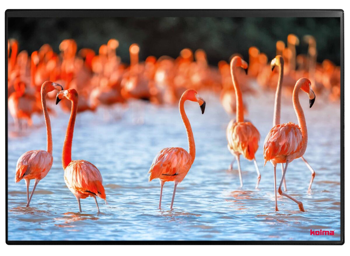 KOLMA Schreibunterlage 35.556.20 Flamingos 50x34cm – Hochwertig & günstig bei ShopDeca