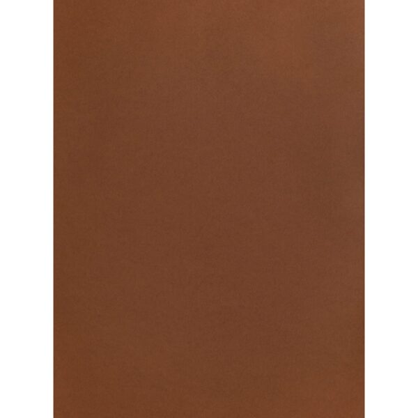MAREIN Tonpapier 50x70cm MPA2901208345 120g, mittelbraun