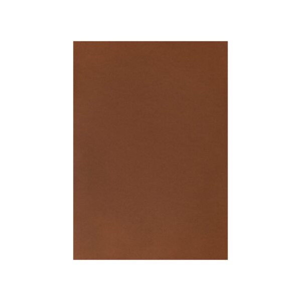 MAREIN Tonpapier A4 MPA2903008345 120g, mittelbraun