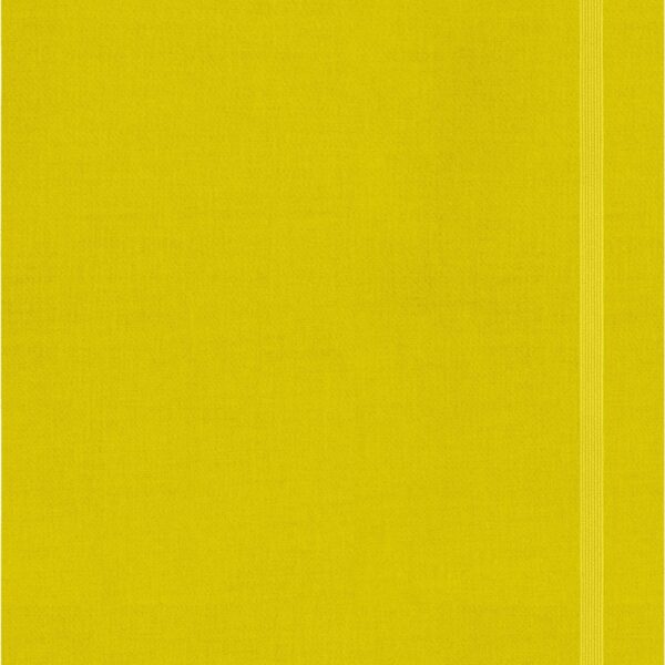 MOLESKINE Notizbuch Color 25x19cm 56598853056 gelb, liniert, 192 Blatt, HC
