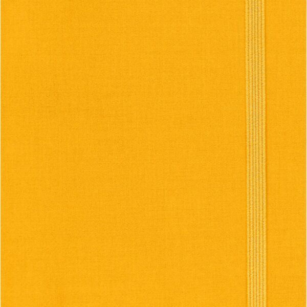 MOLESKINE Notizbuch Color 9x14cm 56598853063 orange, liniert, 192 Blatt