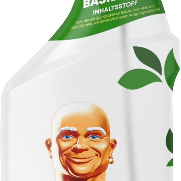 MR.PROPER Reinigungsspray 971096 Sprühen-Wischen-Fertig 800 ml