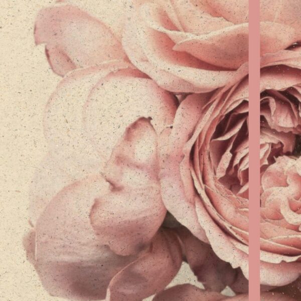 NATUR VERLAG Notizbuch Hardcover 13x21cm 10901N Roses, blanko