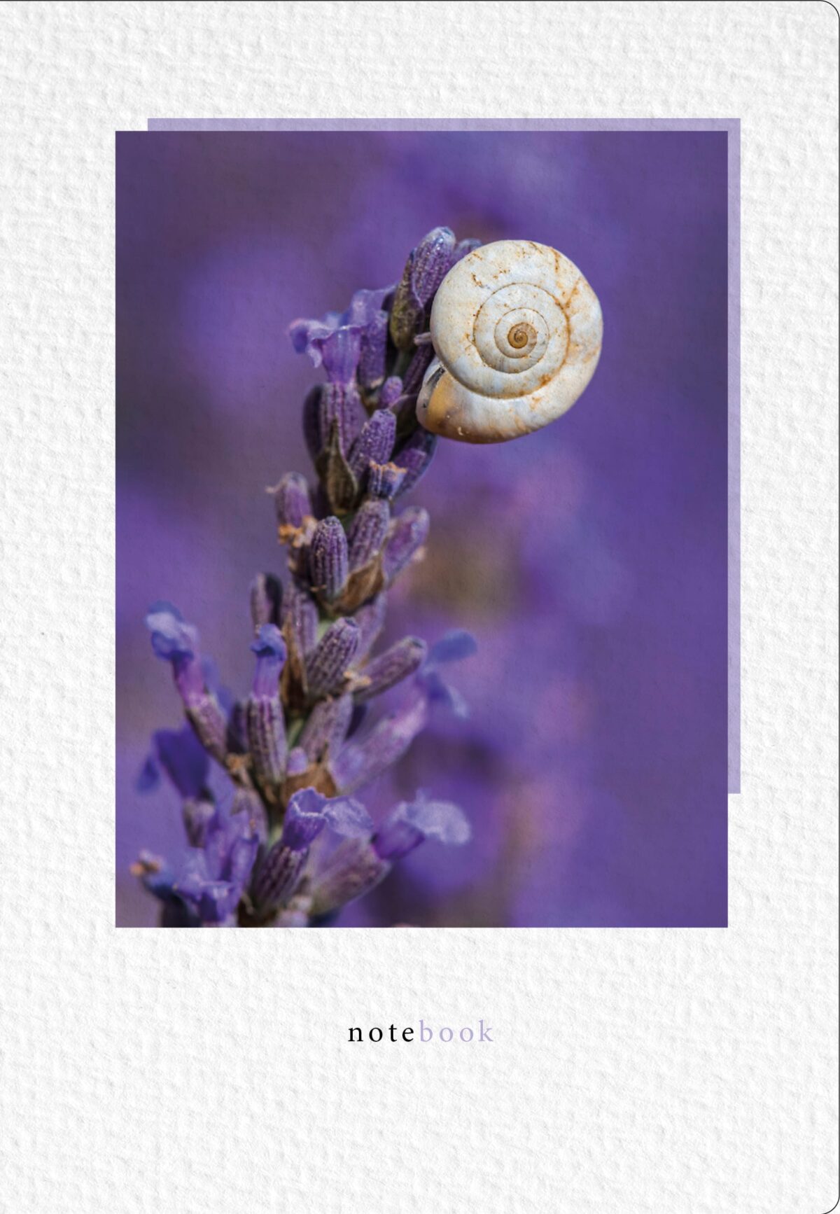 NATUR VERLAG Notizbuch Crushpaper A5 11003N Lavendel Foto, dotted – Hochwertig & günstig bei ShopDeca
