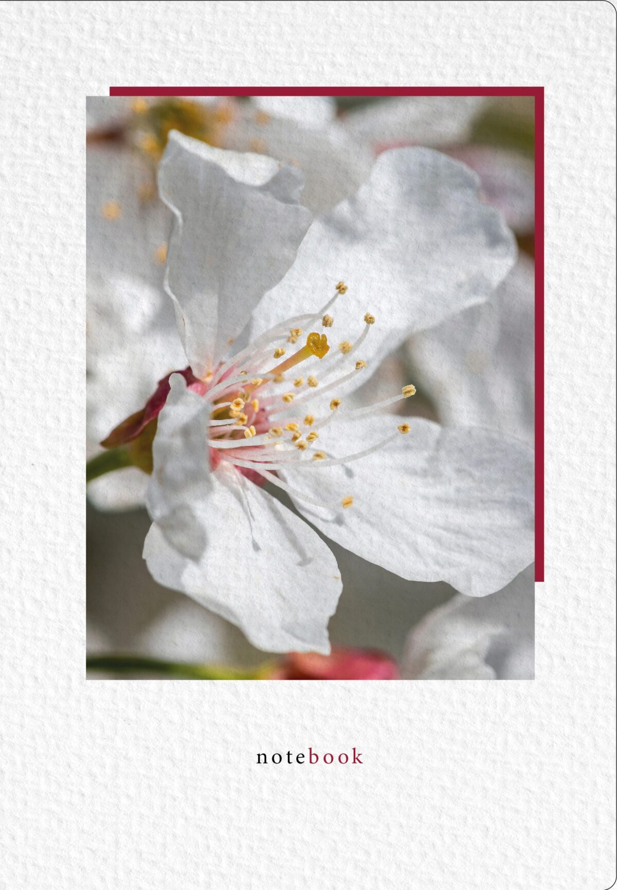 NATUR VERLAG Notizbuch Crushpaper A5 11006N Kirsche Foto, dotted – Hochwertig & günstig bei ShopDeca