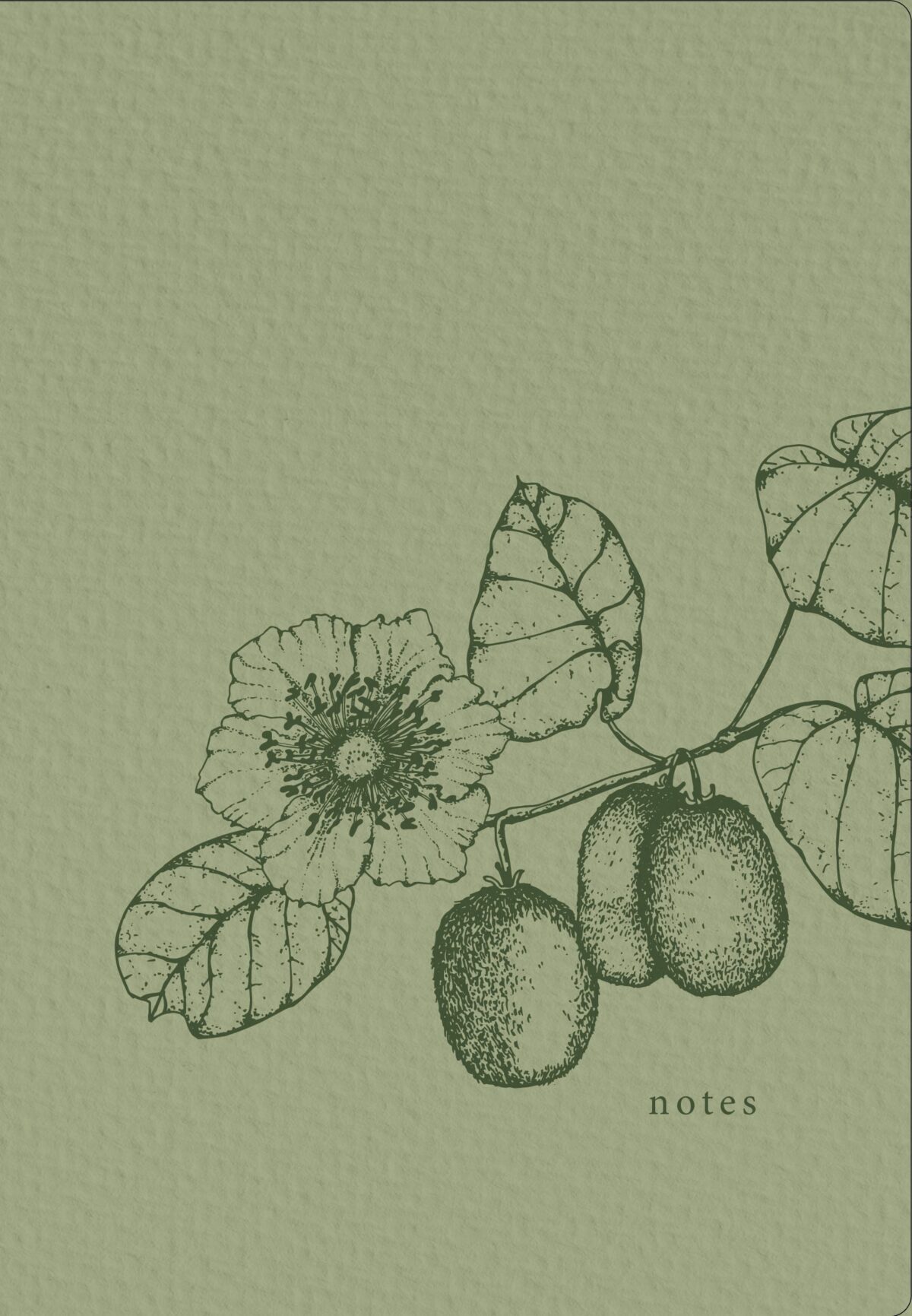 NATUR VERLAG Notizbuch Crushpaper A5 11007N Kiwi Mono, dotted – Hochwertig & günstig bei ShopDeca