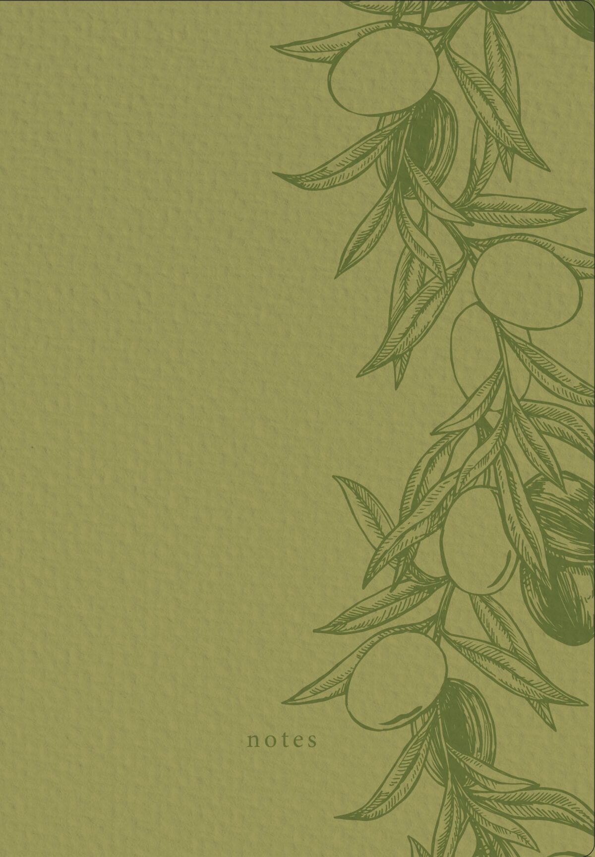 NATUR VERLAG Notizbuch Crushpaper A5 11010N Olive Mono, dotted – Hochwertig & günstig bei ShopDeca