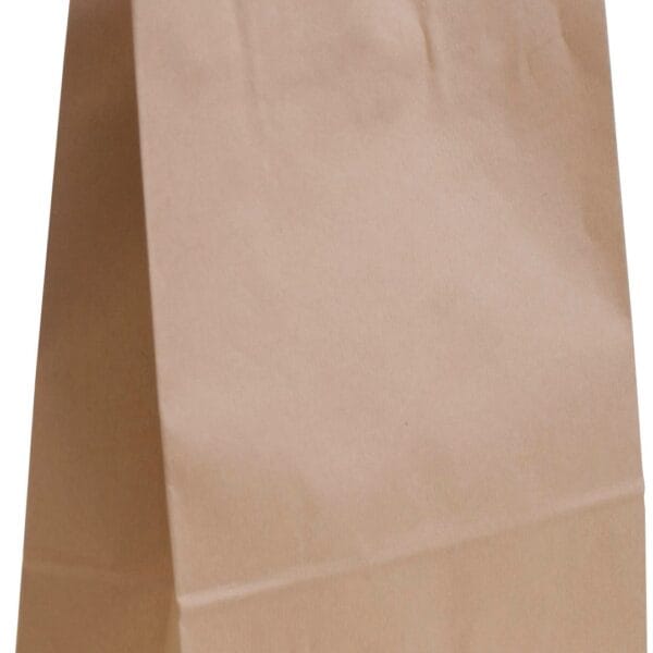 NEUTRAL Tragtaschen Allegra natur SDS26-AVN Kraft,110g, 26x12x36cm 25 Stk.