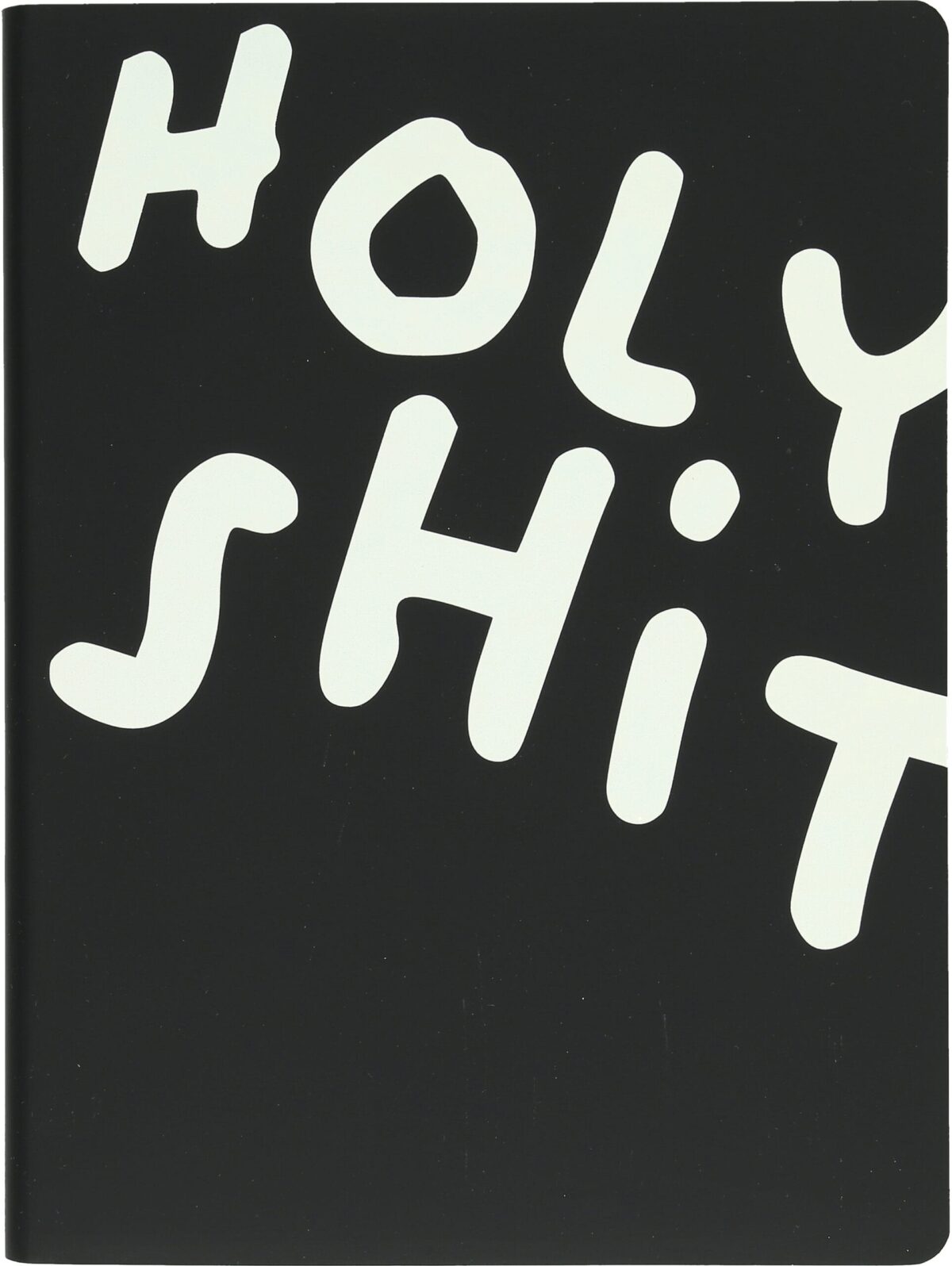 NUUNA Notizbuch Graphic L 56307 HOLY SHIT 256 Seiten – Hochwertig & günstig bei ShopDeca