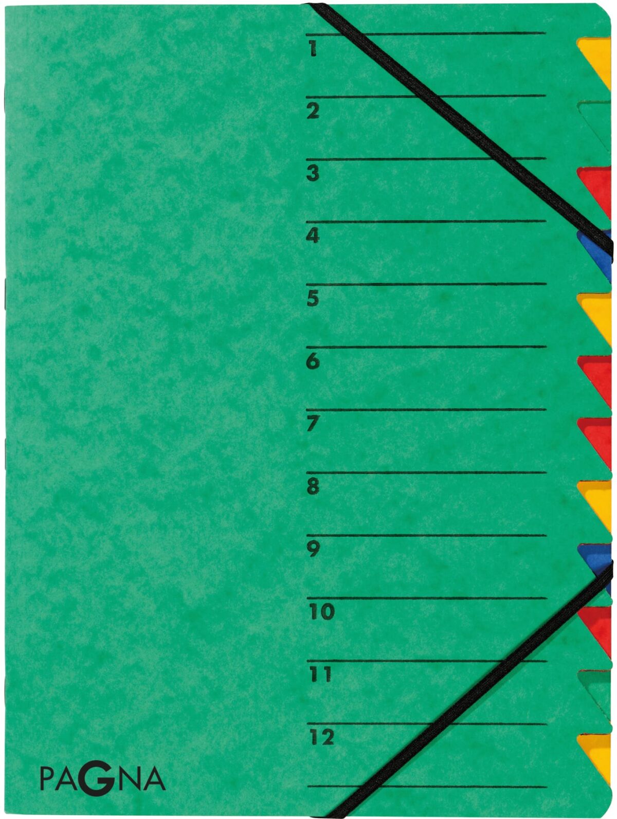 PAGNA Ordnungsmappe EASY A4 24131-03 grün 12 Fächer – Hochwertig & günstig bei ShopDeca