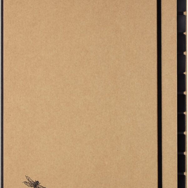 PAGNA Pultordner Pur A4 44012-11 natur 12-teilig
