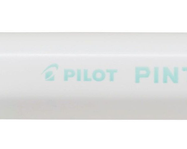PILOT Marker Pintor 0.7mm SW-PT-EF-PG pastell grün