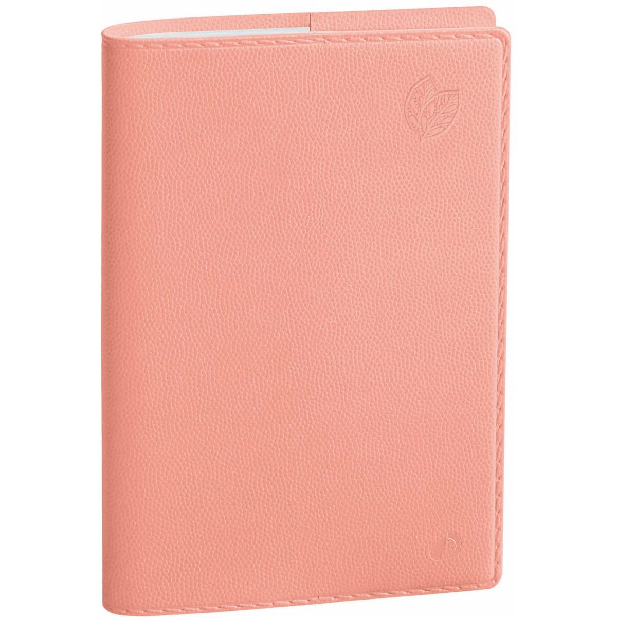 QUO-VADIS Universitaire R Equology 25/26 028918Q 1W/2S 13M pamplemo ML 10x15cm – Hochwertig & günstig bei ShopDeca