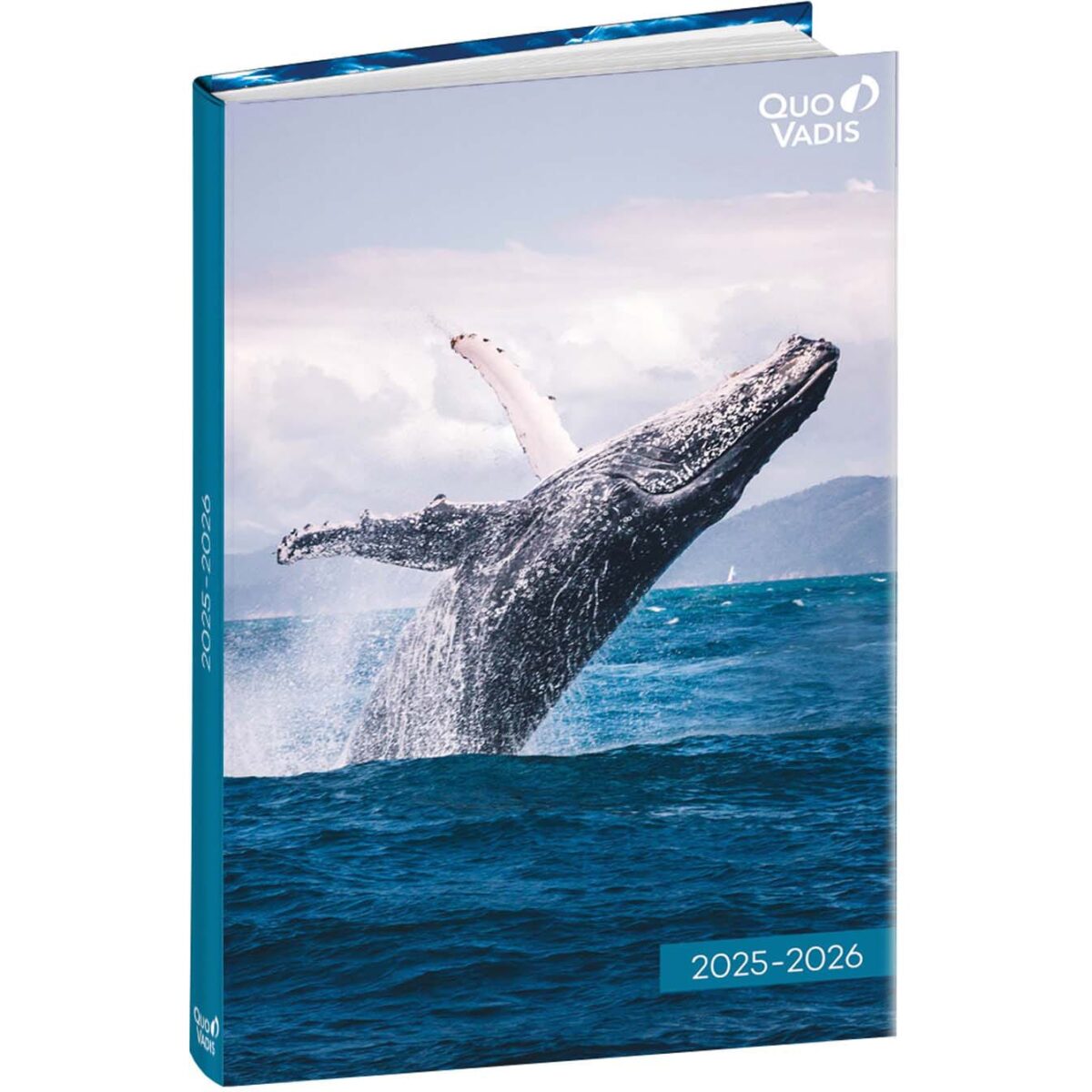 QUO-VADIS Eurotextagenda Walfisch 25/26 1282523Q 1T/1S 12M ML 12x17cm – Hochwertig & günstig bei ShopDeca