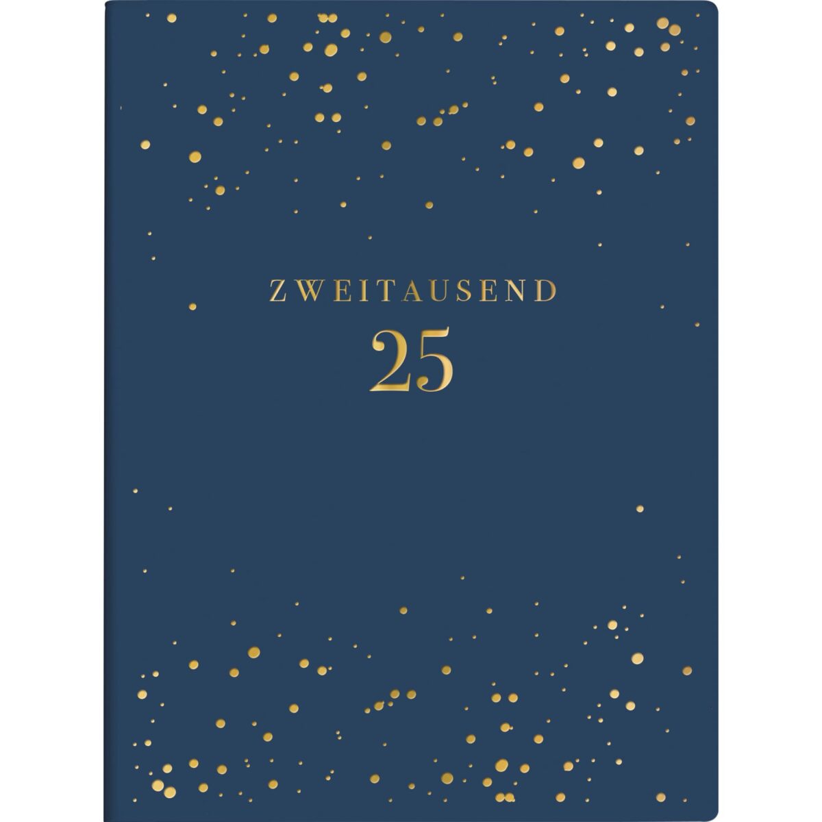 RIDOIDE Taschenagenda Design Line 2025 013603025.25 1W/2S Night DE 12x16cm – Hochwertig & günstig bei ShopDeca