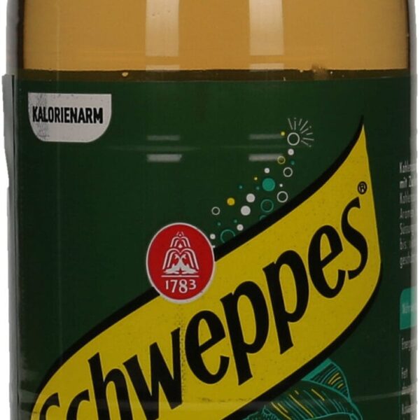 SCHWEPPES Ginger Ale Pet 2368 50 cl, 6 Stk.