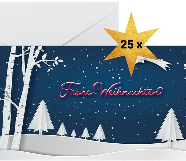 SIGEL Weihnachtskarten DL DS087 Pop up Winterlandschaft 25 Stk