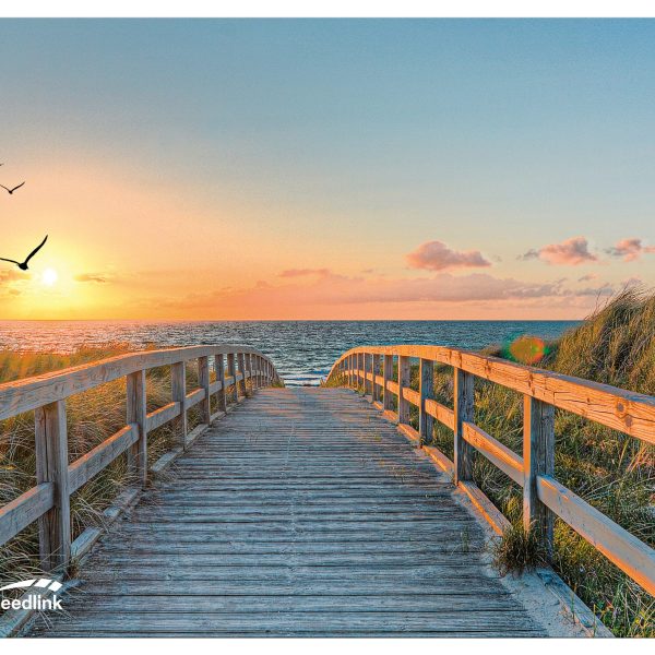 SPEEDLINK SILK Mousepad Beach SL-620000-BEACH