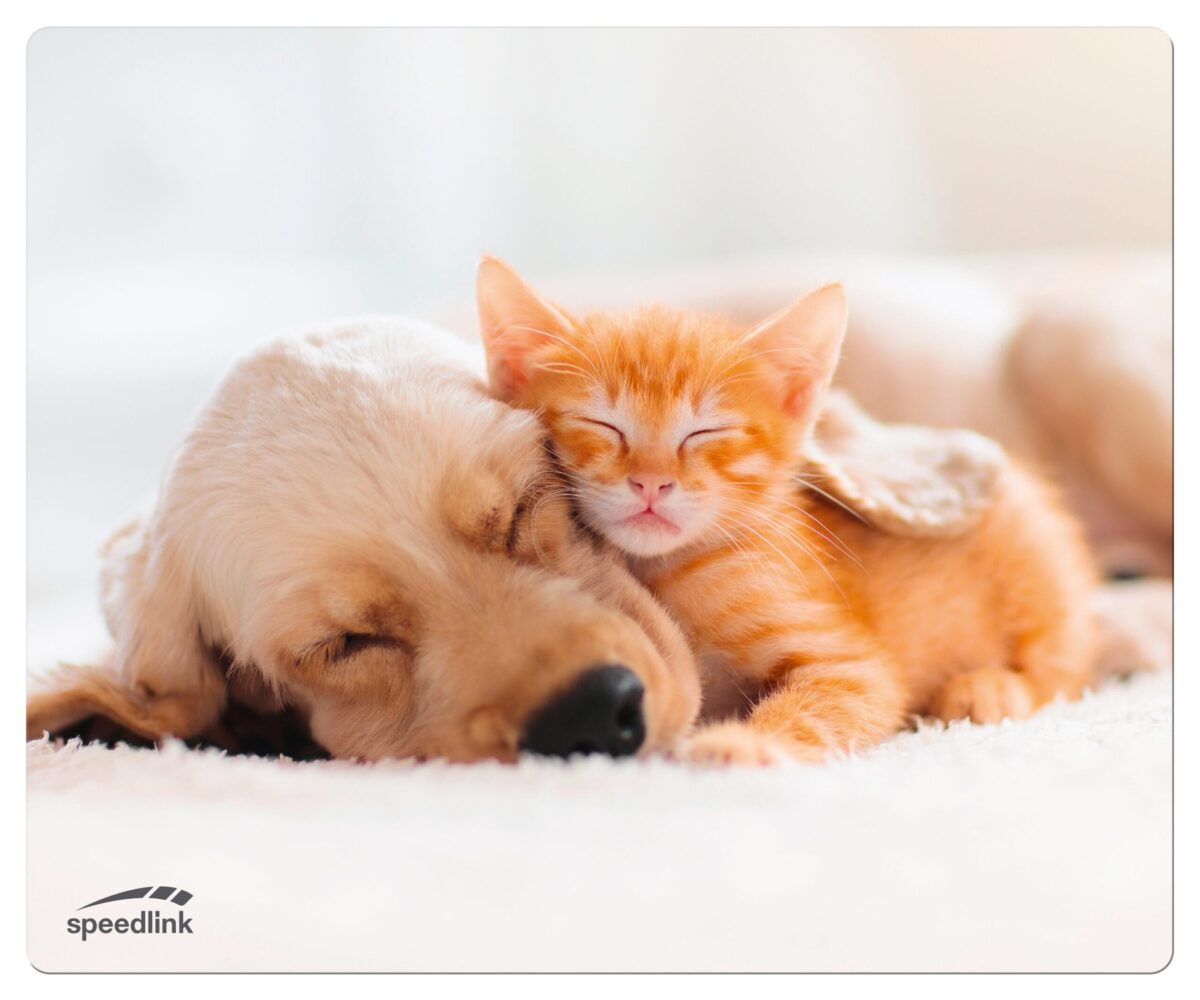 SPEEDLINK SILK Mousepad Dog&Cat SL-620000-DOG – Hochwertig & günstig bei ShopDeca