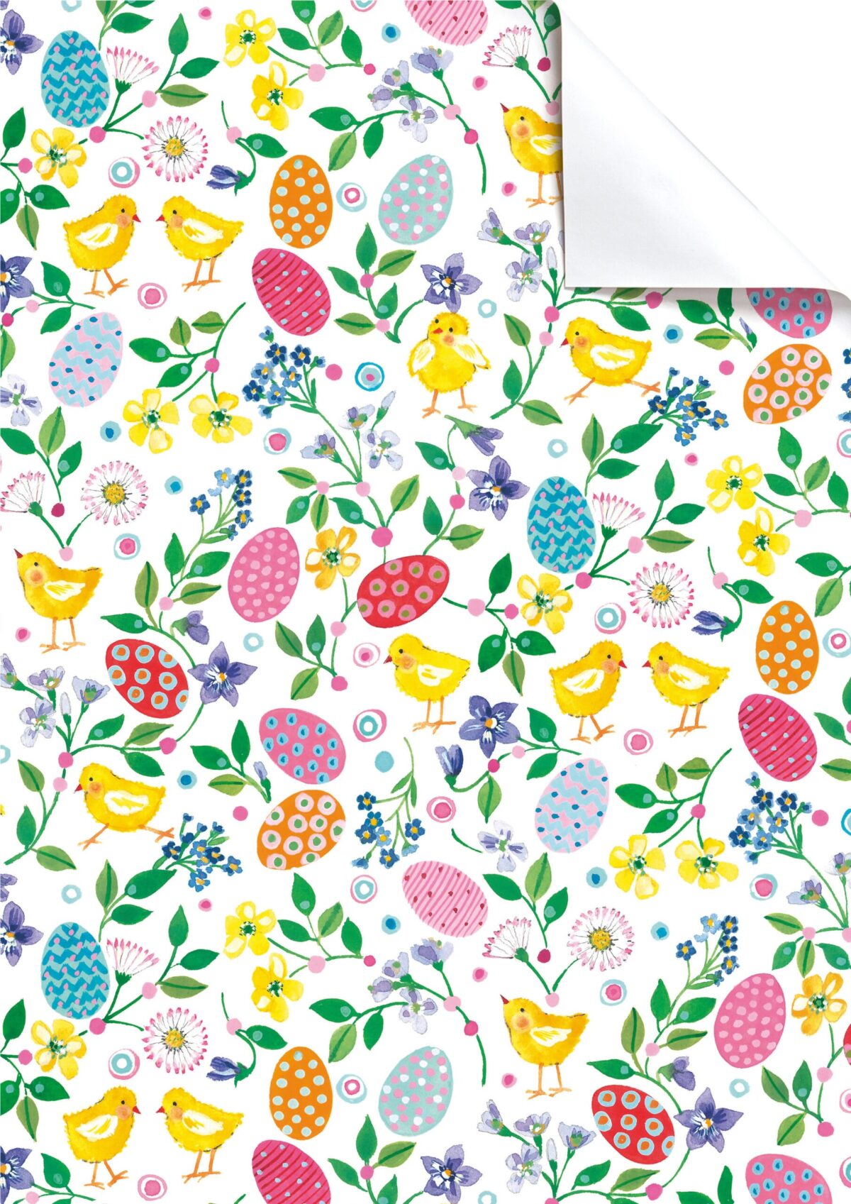 STEWO Geschenkpapier Eggwina 2512517410 gelb 50x70cm – Hochwertig & günstig bei ShopDeca