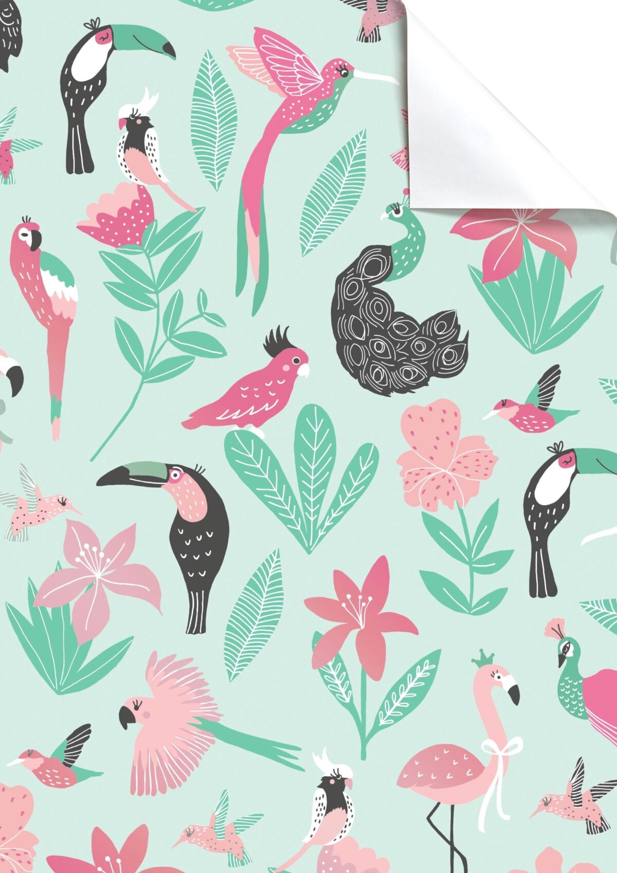 STEWO Geschenkpapier Kaena 2514577743 100x70cm mint FSC – Hochwertig & günstig bei ShopDeca