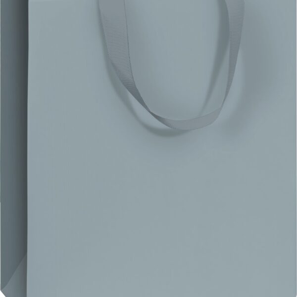 STEWO Geschenktasche Uni Pure 2543532140 blau 18x8x21cm