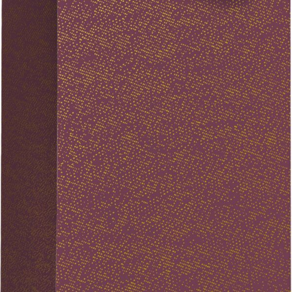 STEWO Geschenktasche Falcone 2546744624 bordeaux 11x10,5x36cm