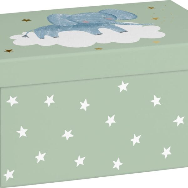 STEWO Geschenkbox Mimmo 2551519946 hellgrün 16.5x24x12cm