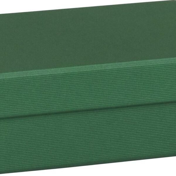 STEWO Geschenkbox One Colour 2551782691 grün dunkel 12x16.5x6cm