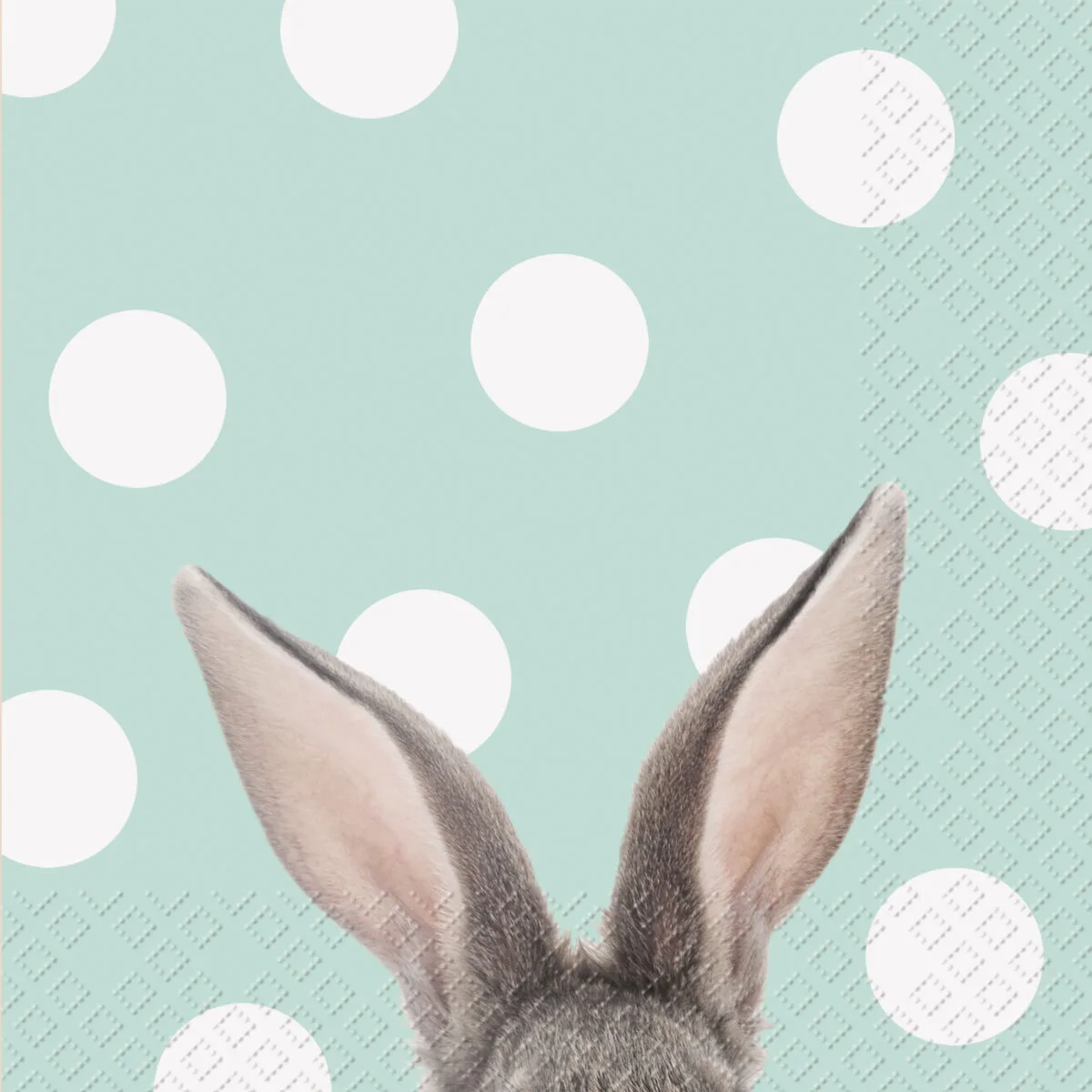 STEWO Serviette 33x33cm 2572654643 Yon FSC mint 20 Stück – Hochwertig & günstig bei ShopDeca