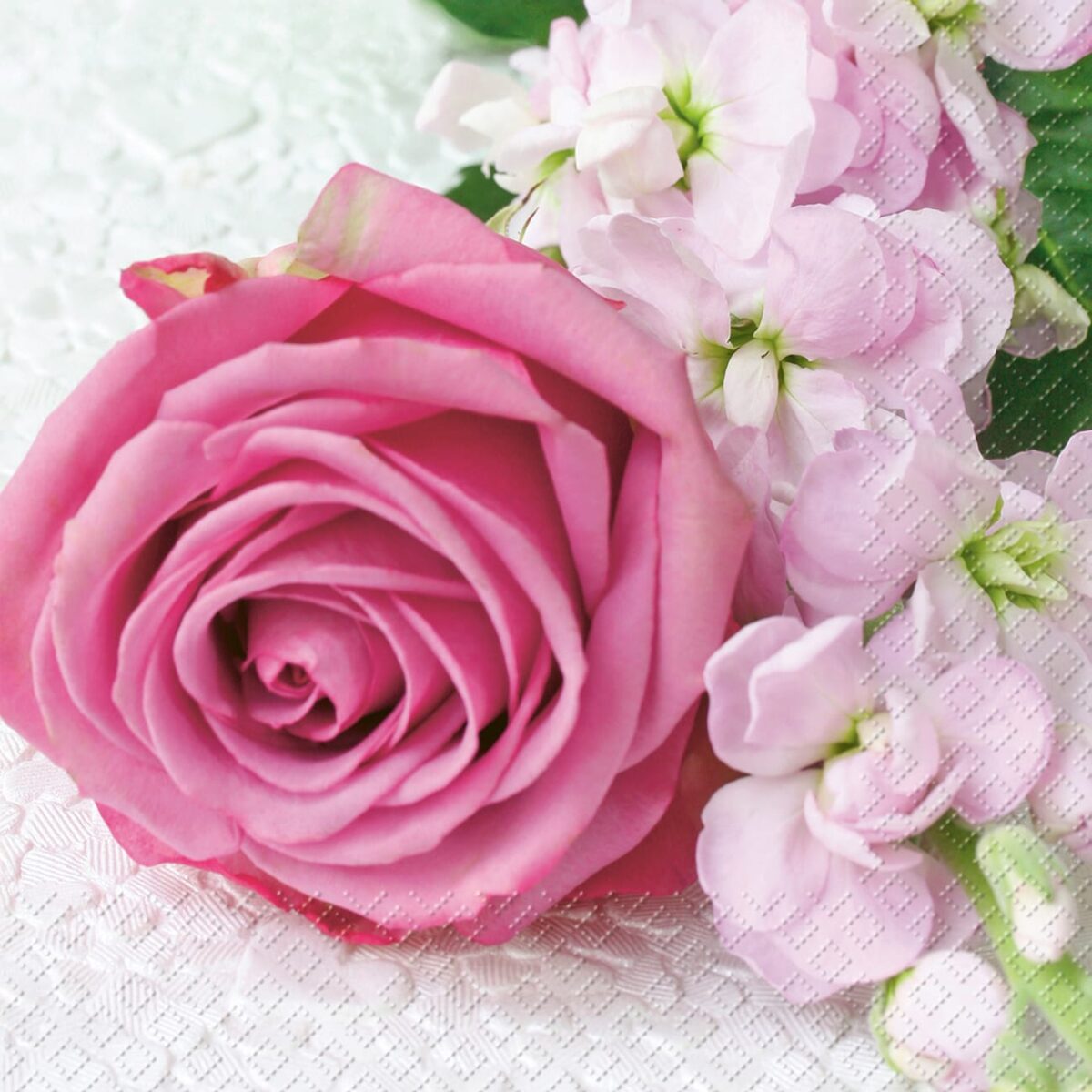 STEWO Serviette Vanessa 25x25cm 2573621128 pink 20 Stück – Hochwertig & günstig bei ShopDeca