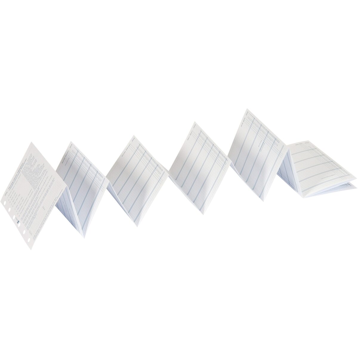 SUCCES Agenda Junior Jahrespl. 2025 842159000025U 6M/1S gefalzt 8x12.5cm – Hochwertig & günstig bei ShopDeca