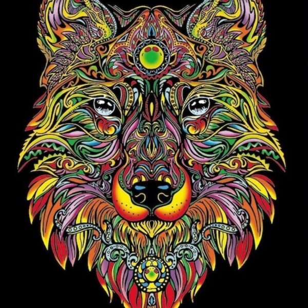 TATARUGA Samtbild A4 S10 Wolf