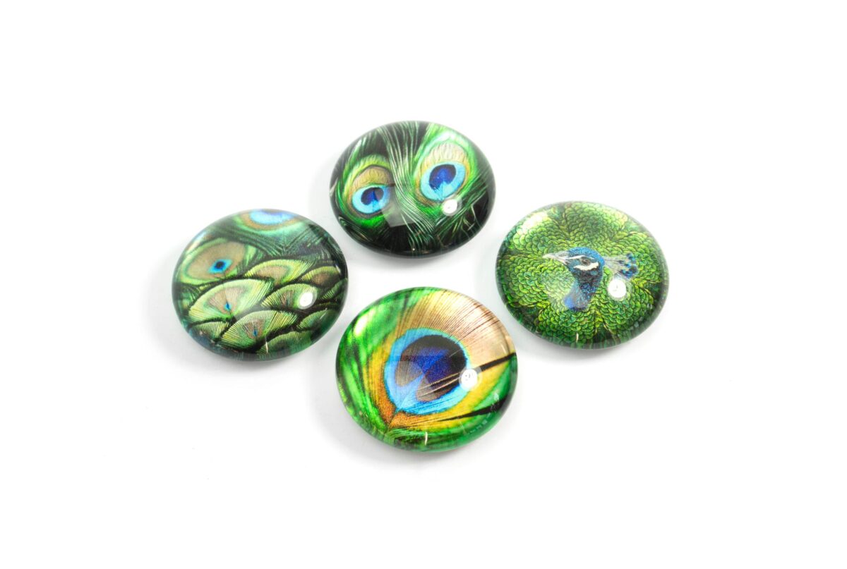 TRENDFORM EYE Magnete PEACOCK EY2020 4er Set – Hochwertig & günstig bei ShopDeca