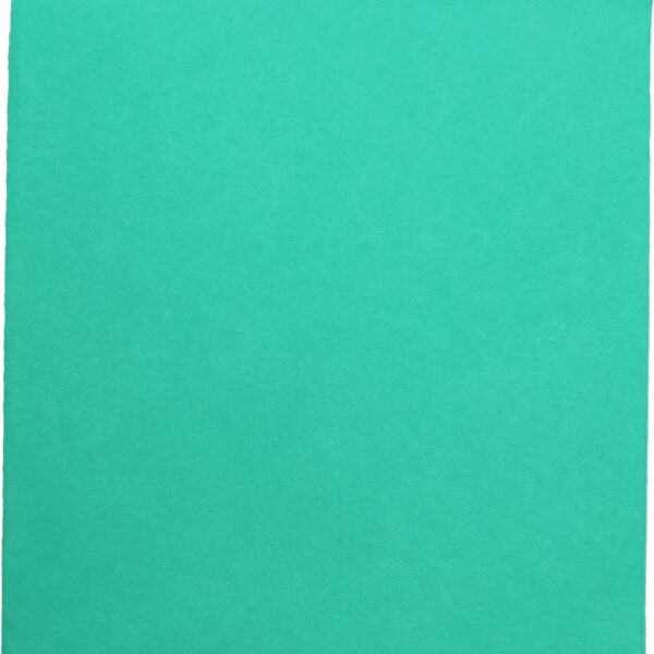WEITACLEAN Allzwecktuch Olivia 38x40cm 721263 grün 30 Stück