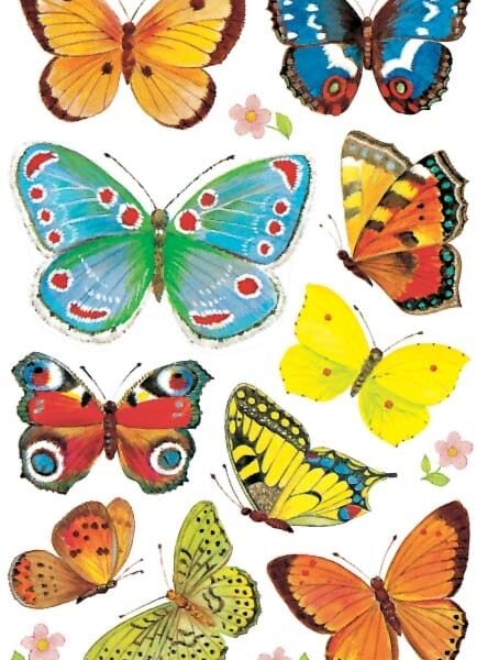 Z-DESIGN Sticker Creative 4462 Schmetterlinge 3 Stück