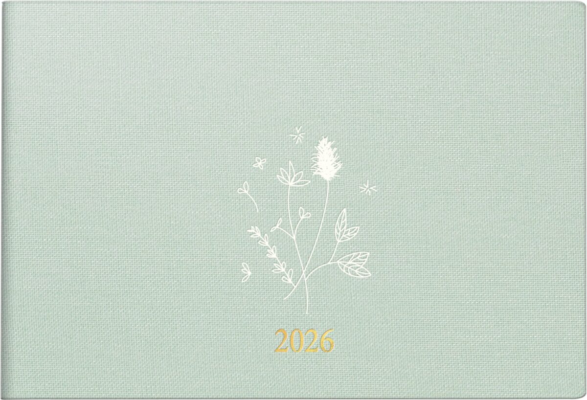 RIDOIDE Taschenagenda Septimus 2026 7017515026.26 1W/2S hellgrün DE 15.2x10.2cm – Hochwertig & günstig bei ShopDeca