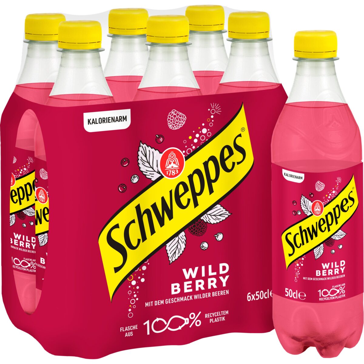 SCHWEPPES Wild Berry 11020621 50 cl, 6 Stk. – Hochwertig & günstig bei ShopDeca