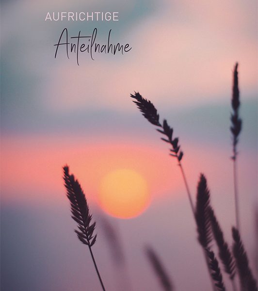 ABC Trauerkarte B6 51967 Schilf