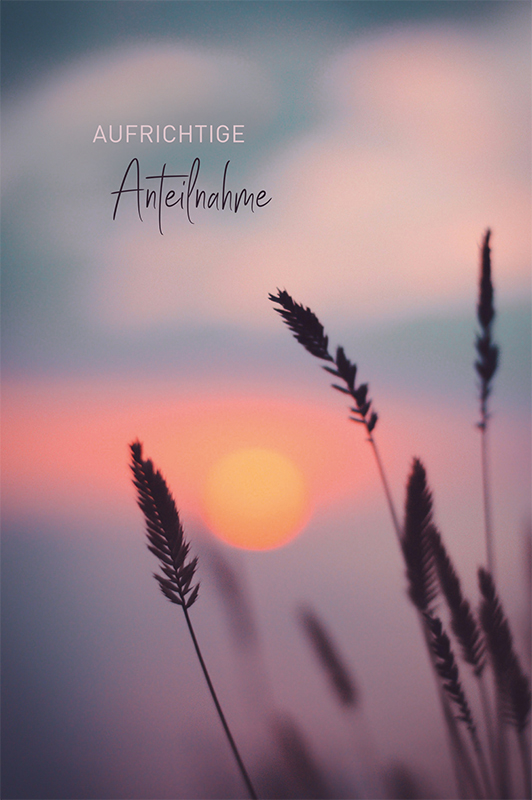 51967.indd ABC Trauerkarte B6 51967 Schilf – Hochwertig & günstig bei ShopDeca